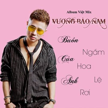 Ngắm Hoa Lệ Rơi-cover