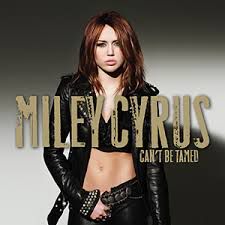 Wrecking Ball (Acoustic)-cover
