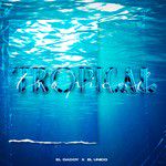Tropical-cover