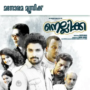 Raavin Nizhaloram-cover