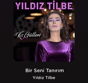 Çat kapı-cover