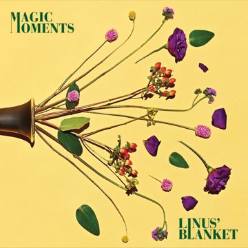 Summer Night Magic-cover