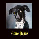 Perro Negro-cover