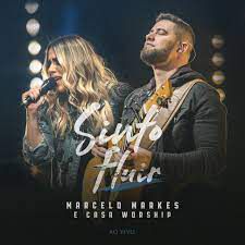 Sinto Fluir-cover