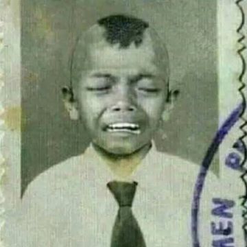 apt-by-theo-apate-india-cover-image