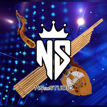 ชีวิตเมียเช่า V.แสดงสด NS-cover