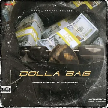 Dolla Bag-cover