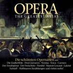 Madamina, Il Catalogo E Questo aus: Don Giovanni v-cover