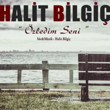 Özledim Seni -cover