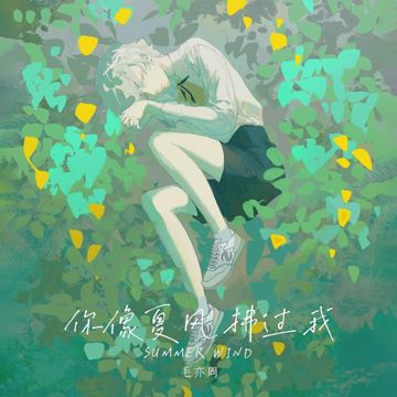 你像夏风拂过我-cover