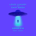 Amnesia(feat. GASHI)-cover
