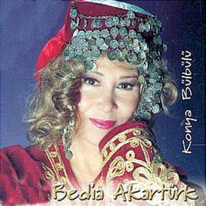 SÜPÜRGESİ YONCADAN-cover