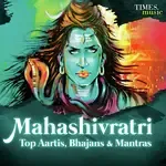 Rudrashtakam (From &quot;Shiv Omkara&quot;)-cover