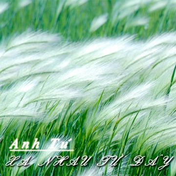 Quán Vắng Một Mình-cover