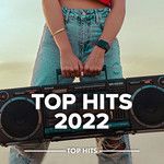 Wellerman(Sea Shanty / 220 KID x Billen Ted Remix)(Remix)-cover