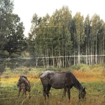 coveImg