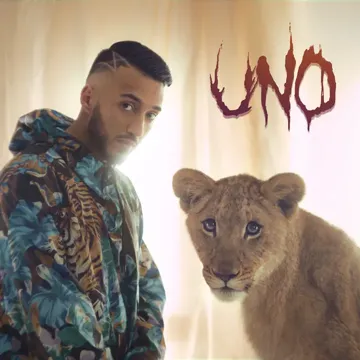 Uno-cover