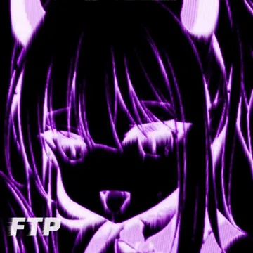 FTP-cover
