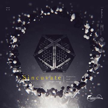 Dstorv (Endorfin. Remix)-cover