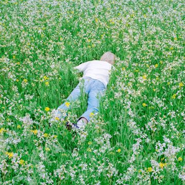 Blossom-cover