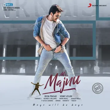 Chiru Chiru Navvula (From "Mr. Majnu")-cover