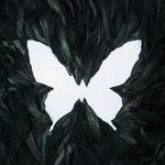 Bxxch-cover