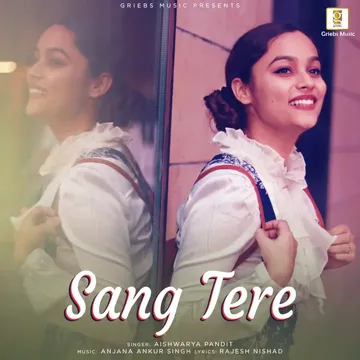 Sang Tere-cover