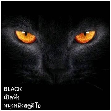 Wallerman VBLACK 