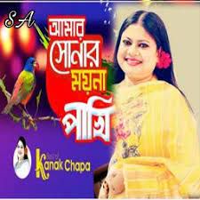 আমার সোনার ময়না পাখি