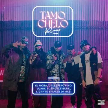 Tamo Chelo (Remix)-cover