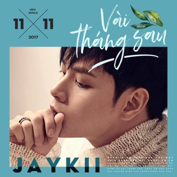 Vài Tháng Sau-cover