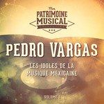 Amor de Mis Amores-cover