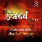 Dhono Dhanno Pushpo Bhora-cover