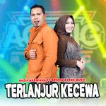 Terlanjur Kecewa-cover