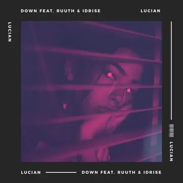 Down-cover