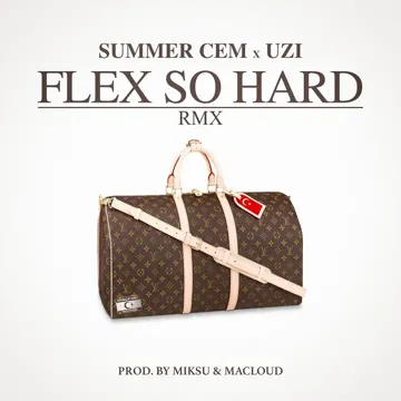 FLEX SO HARD RMX-cover