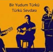 Yalancısın inanamam-cover