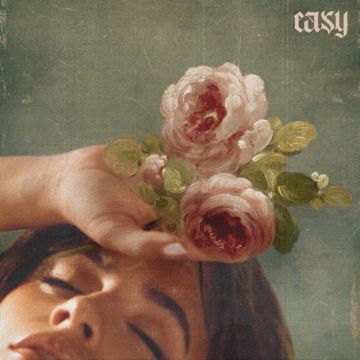 Easy-cover