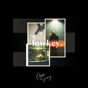 Lo-cover