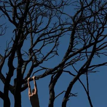 Nothing Remains-cover