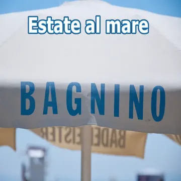 Estate-cover