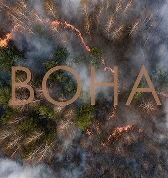 Вона-cover