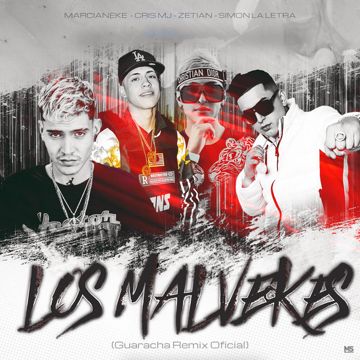 LOS MALVEKES-cover