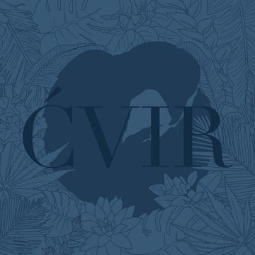 Mortimer-cover