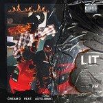 LIT-cover