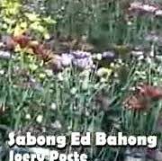 Sabong Di Bahong