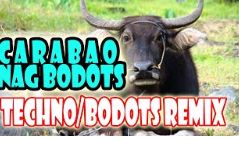 Kalabaw Budots