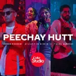 Peechay Hutt-cover