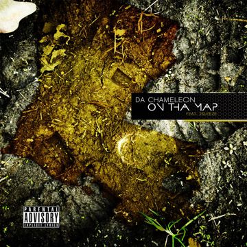 Chemeleon-cover