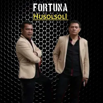 Husolsoli-cover